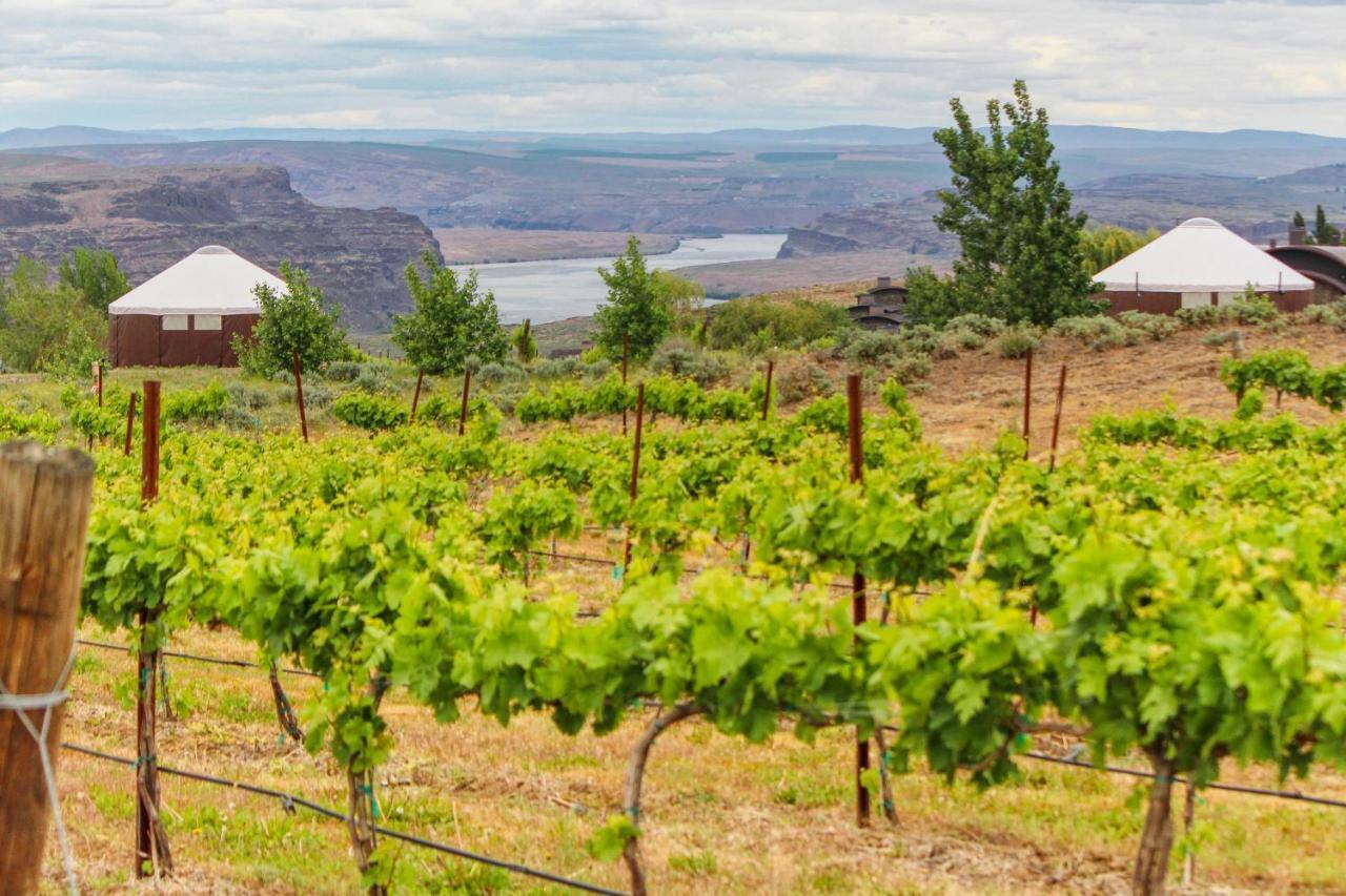 Columbia River Gorge Retreat At Cave B Ridge Quincy Exterior foto